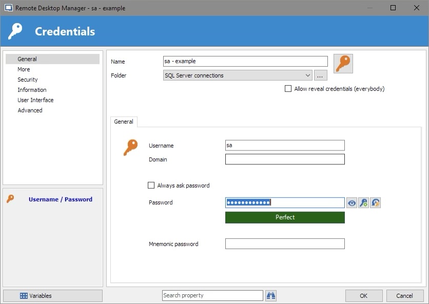 A screenshot of Remote Desktop Manager's new Credential window, with my example SQL Server login